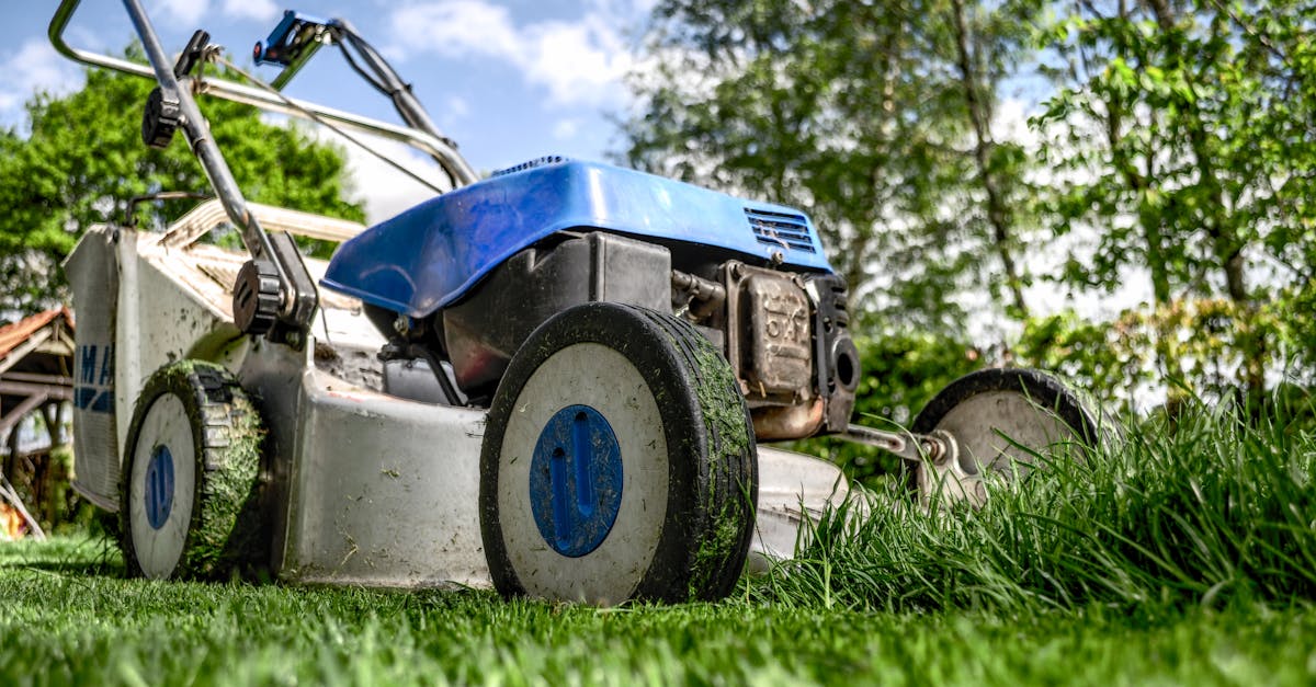 Lawn Care Basics: Maintenance, Seasonal Planning & Upkeep