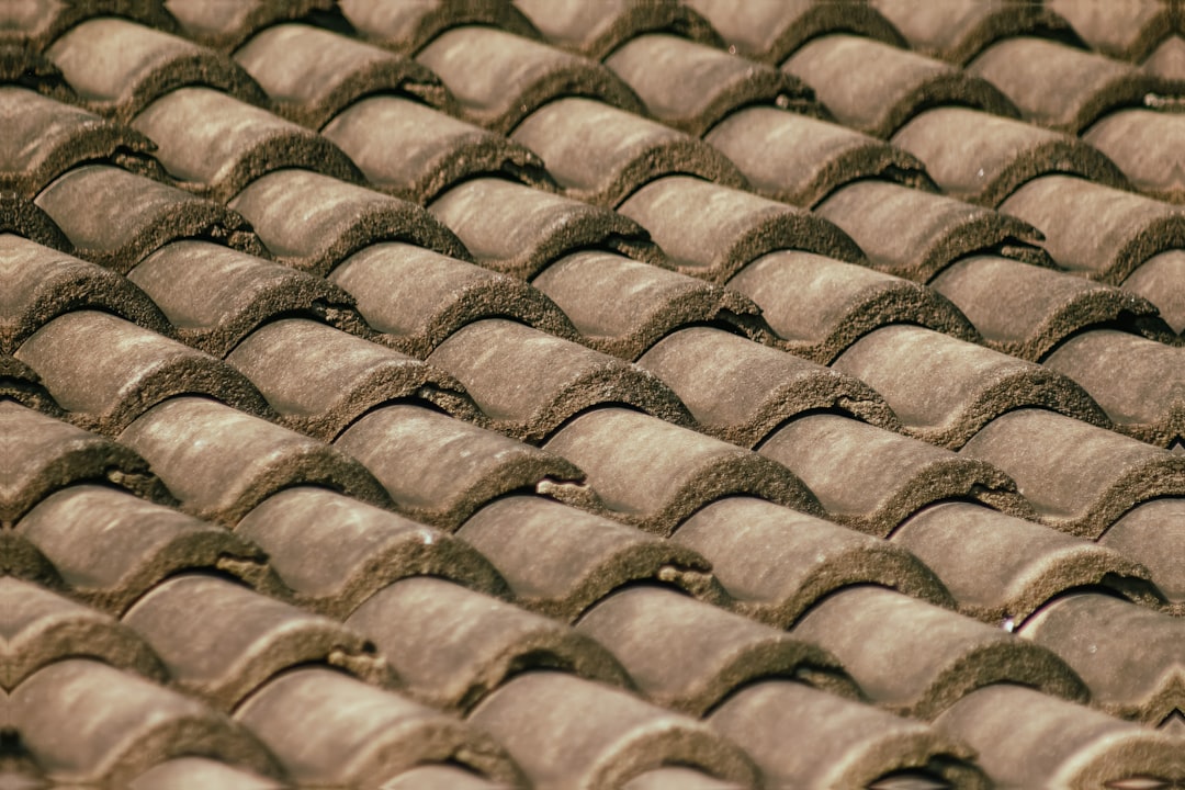Roofing Services Explained: Materials, Repairs & Maintenance Basics