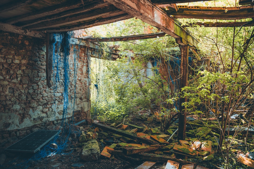 The 2026 Water Damage Recovery Guide